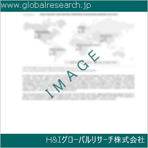 グローバルリサーチ調査資料のイメージ